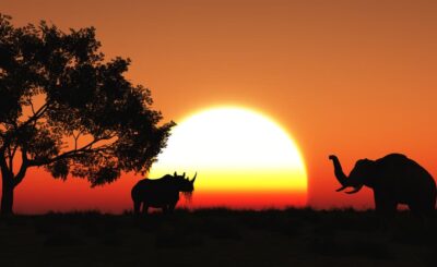 The Thrill of a Walking Safari: Getting Up Close with Nature in Tanzania